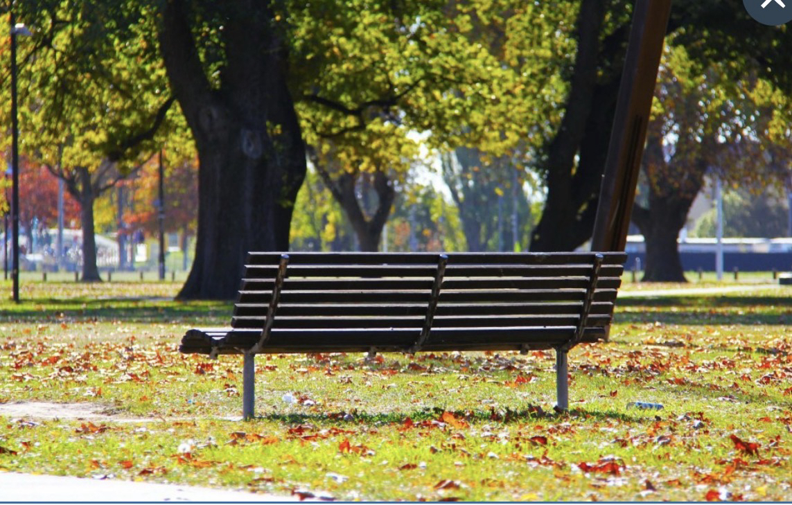 The Bench Is Still There: Facebook Without Politics
